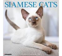 Willow Creek Press, Siamese Cats 2027 Wall Calendar