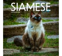 Siamese Cats Calendar 2027: Cat Photography and Indoor Scenes