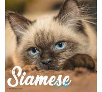 Siamese Cats Calendar 2027: Siamese Cats and Feline Portraits