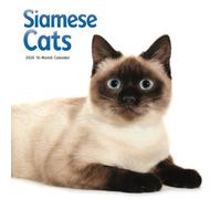 Siamese Cats Square Wall Sunday Start Ca