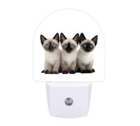 Siamese Cats with Blue Eyes Funny Auto Sensor Night Light Plug in Wall