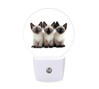 Siamese Cats with Blue Eyes Funny Auto Sensor Night Light Plug in Wall