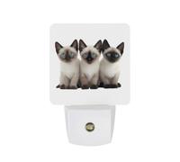 Siamese Cats with Blue Eyes Funny Auto Sensor Night Light Plug in Wall