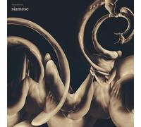 Siamese - dissolution