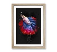 Siamese Fighting Fish Paint Splash Modern Framed Print | A4 Oak Framed Wall Art | Ready to Hang | Modern Animal Picture | Living Room Bedroom Lounge Office