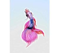 Siamese Fighting Fish Pink Canvas Wall Art Print
