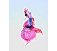 Siamese Fighting Fish Pink Large Art Print Poster Wall Decor 18x24 inch