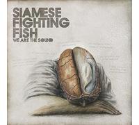 Siamese Fighting Fish – We Are The Sound