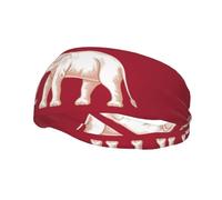 Siamese Sovereignty Flag Sports Sweatband Headband for Men & Womenâ€Stretchy & Moisture-Wicking, Seasons and Activities
