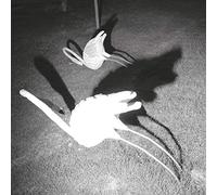 Siavash Amini - A Mimesis Of Nothingness [VINYL]