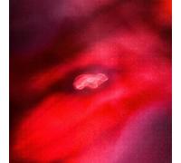 Siavash Amini & Saffronkeira - The Faded Orbit [VINYL]