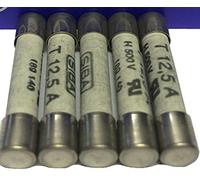 SIBA Fuse 7006565 70 065 65 70-065-65 12.5A 500V Time Lag Ceramic Fuse JPSF059 (5)