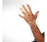 Sibel LARGE Poly Disposable Gloves x50