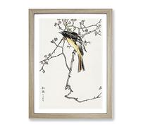 Siberian Blue Tail Bird By Numata Kashu Asian Japanese Framed Print | A2 Oak Framed Wall Art | Ready to Hang | Asian Nature Picture | Living Room Bedroom Lounge Office