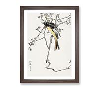 Siberian Blue Tail Bird By Numata Kashu Asian Japanese Framed Print | A4 Walnut Framed Wall Art | Ready to Hang | Asian Nature Picture | Living Room Bedroom Lounge Office
