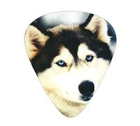 Siberian Dog Guitar Paddle 12 Pack Guitar Pickup Suitable For Playing Acoustic Guitars, Electric Guitars, Etc.