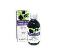 Siberian Ginseng (Eleutherococcus senticosus) Roots Alcohol-Free Mother Tincture Naturalma - Liquid Extract Drops 500 ml - Food Supplement - Vegan