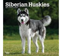 Siberian Huskies | 2025 12 x 24 Inch Monthly Square Wall Calendar | Plastic-Free | BrownTrout | Animal Dog Breeds