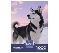 Siberian Husky 1000 Piece Adults Puzzle Kids Age Gifts Gifts Birthday Animal Difficult Impossible Challenging & Brainteasing 38x26cm/1000pcs