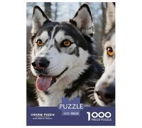 Siberian Husky 1000 Piece Jigsaw Puzzles for Adults And Kids with Extra Fun Challenges Cute Pets Home Decors Family Puzzle Game Birthday Gifts 38x26cm/1000pcs
