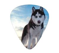 Siberian Husky,12 Pcs Guitar Pick,3 Different Thickness Plectrums for Acoustic Guitar Bass Ukulele (0.46mm 0.96mm 0.71mm)