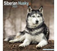 Siberian Husky Calendar 2025 Square Dog Breed Wall Calendar - 16 Month 97818046