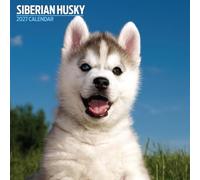 Siberian Husky 2027 Traditional Calendar