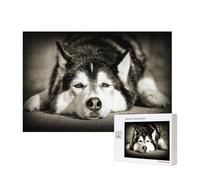 Siberian Husky,300 Pieces Wooden Jigsaw Family Game Jigsaw Puzzles for Adults Teens Home Decor