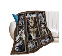 Siberian Husky Blanket for Girls Boys Funny Dog Throw Blanket Soft Cozy Warm Fuzzy Fleece Cool Puppy Bedding Flannel Blankets Gifts for Husky Lovers Kids Men Women Bedroom Decor 50"x40"