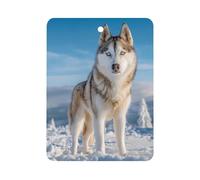 Siberian Husky Car Air Freshener Decorative Hanging Aromatherapy Tablets for Car Trucks Square