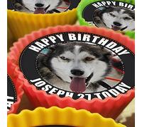 Siberian Husky Dog - 20 x 5cm Personalised Edible Cupcake Toppers on Premium Icing