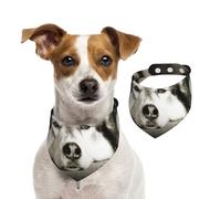 Siberian Husky,Dog Bandanas Cotton Pet Scarf Adjustable Bibs for Pet,S