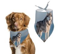 Siberian Husky Dog in Winter Cute Dog Bandanna Scarf Printed Adjustable Triangle Pet Kerchief for Dogs And Cats