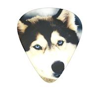 Siberian Husky Guitar Paddle Set Of 12, Suitable For Guitar, Yukri, 3 Thicknesses