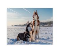 Siberian Husky Jigsaw Puzzle - 1000 Pieces for Adults and Kids - Difficulty Game, Educational Toy, Family Decoration (38x26cm) - 138