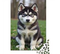 Siberian Husky Portrait 1000 Pc Premium Cardboard Husky Dog Puzzle for Adults Brain Training Relaxation Wall Art Anniversary Present 70x50cm/1000pcs