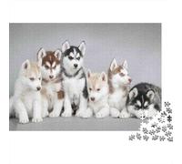 Siberian Husky Puppies 1000 Piece Puzzles Beautiful View Husky Puppies Home Decoration Educational Game for Men And Women Challenging Jigsaw Jigsaw Puzzles for Adults 38x26cm/1000pcs