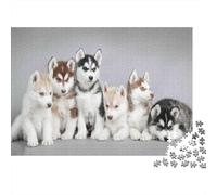 Siberian Husky Puppies 1000pcs Jigsaw Puzzles for Adults 14+, Thick Cardboard, Husky Puppies, Stress Relief Relaxation, Educational Entertainment, Idea for Home 52x38cm/1000pcs