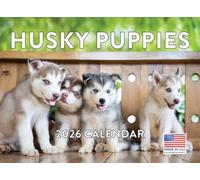 Siberian Husky Puppy Calendar 2026