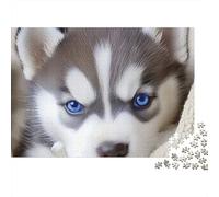 Siberian Husky Puppy with Blue Eyes 1000pc Thick Cardboard Jigsaw Puzzle for Stress Relief Seekers Christmas Gathering Home Decor Home Leisure Time Social Icebreaker 38x26cm/1000pcs