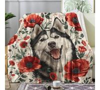 Siberian Husky Throw Blanket Single Size, Cute Dog Fleece Blanket for Bed Sofa Couch, Soft Cozy Flannel, 130x150 cm, Decor & Gifts (N02)
