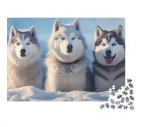 Siberian Husky Trio 1000 Pc Tear-Resistant Paper DIY Jigsaw Huskies in The Snow Puzzle for Stress-Relief Seekers Brain Training Puzzle Party 38x26cm/1000pcs