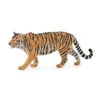 Siberian Tiger