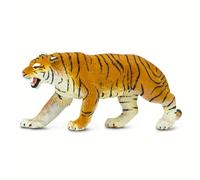 Siberian Tiger