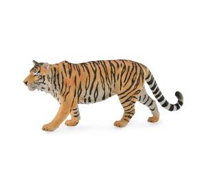 Siberian Tiger