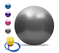 SIBOMTEX Anti-burst Yoga Ball Thickened Stability Balance Ball Pilates Barre Physical Fitness Exercise Ball 45CM / 55CM / 65CM / 75CM Gift Air Pump
