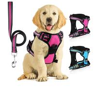 SIBOTER Dog Harness, Small Dog No Pull Harness with Leash, Reflective, Adjustable, Comfortable, Easy to Use, Includes Leash, Suitable for Small Dogs (40-60cm, 5-13kg), Rose Red