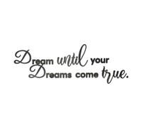 Sicheii Dream Until Your Dreams Come True Wall Decals, Peel and Stick Acrylic Mirror Wall Stickers for Bedroom Living Room, Motivational Wall Decor, Inspirational Quote Saying (Black)