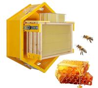 SICWEDIM Beehive Starter Kit,Wall-Mounted Observation Bee Hive with 3 Frames & 6 Honeycomb Trays,Flow Hive Beehive with Acrylic Viewing Window,for Beekeeping Enthusiasts, Bee Farm