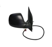 BLIC 5402-01-1623362P Wing mirror